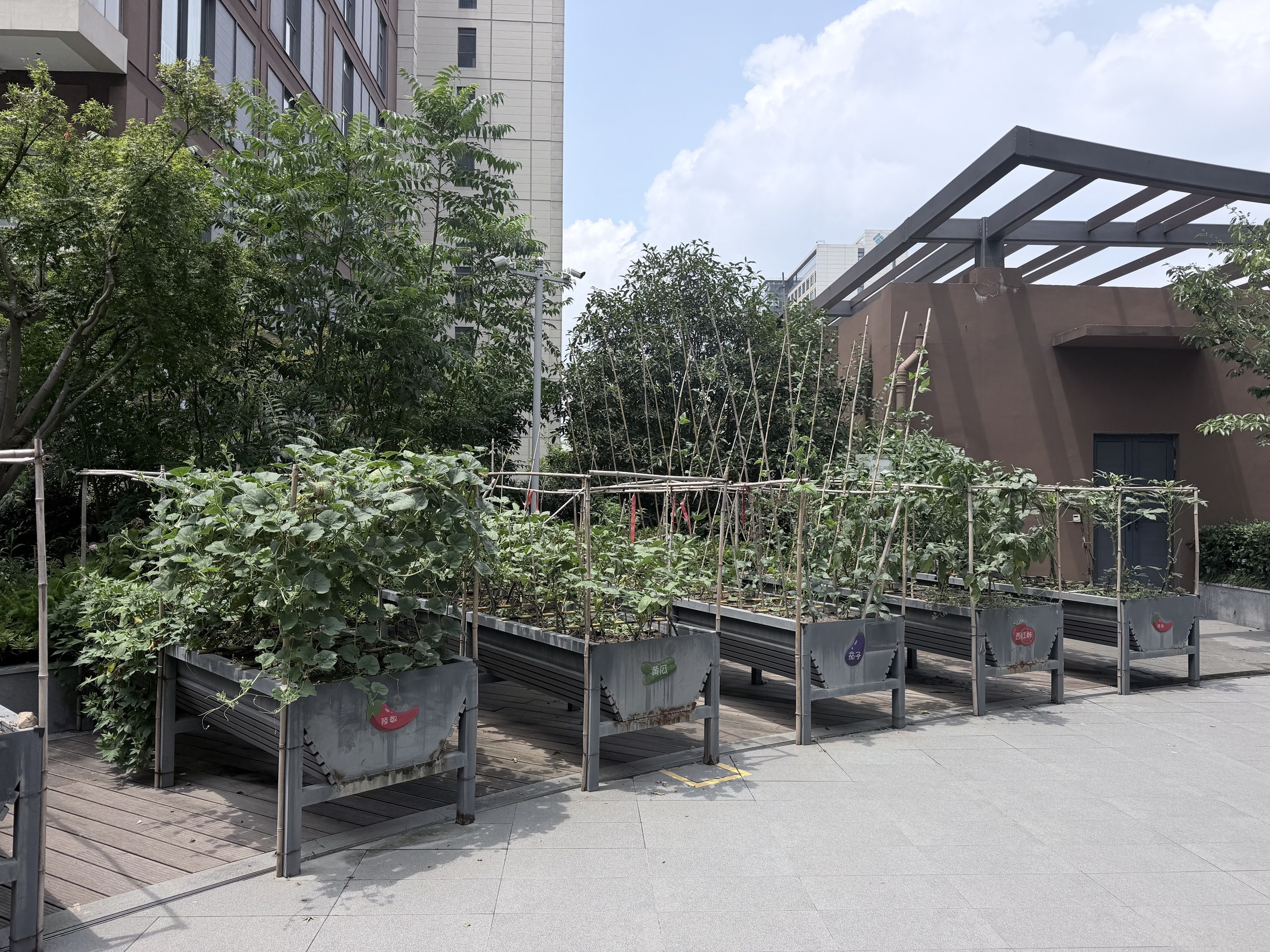 A shared raised-bed garden area in the senior-care facility